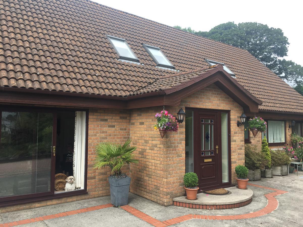 The Firs - Englefied Studio Bed & Breakfast Douglas Exterior photo